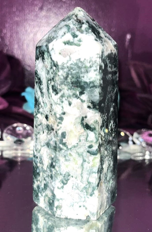 Moss Agate crystal tower point w/ quartz druzy pockets. Brings abundance, wealth, prosperity, optimism, self-confidence & creativity